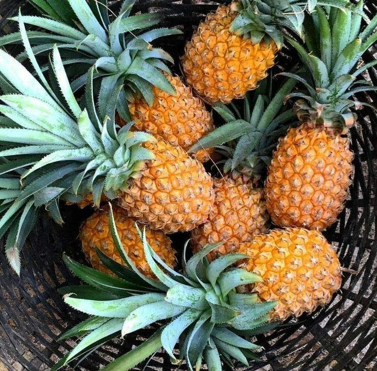 Rahasia Segar Buah Nanas untuk Kulit Sehat dan Awet Muda